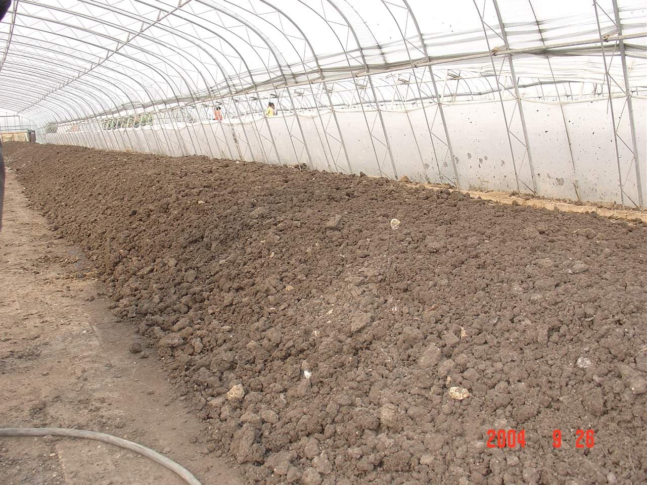 Organic Process